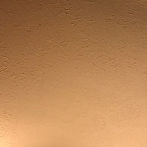 Meet your Posher, Bailey